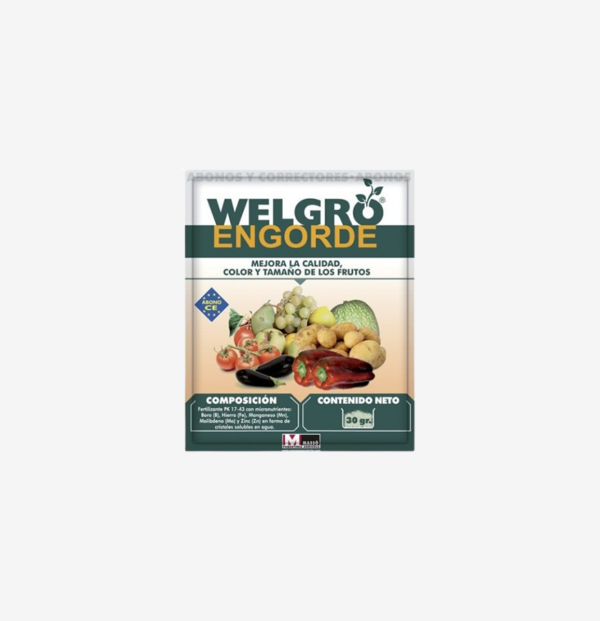 Welgro Engorde – 30g